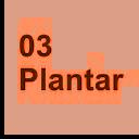 Red 03 Plantar
